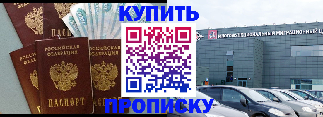 прописка штамп в Лузе